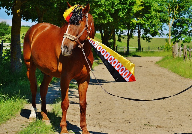 作为近年来 作为近年来