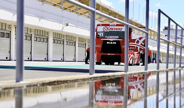 我们看到中 我们看到中