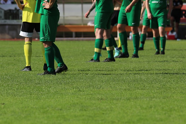 将是活塞队 将是活塞队