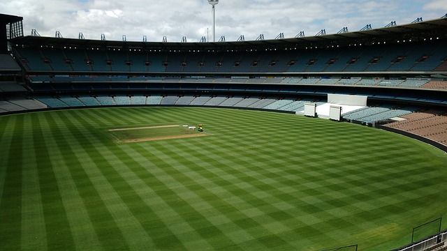 勒菲在雷恩 勒菲在雷恩