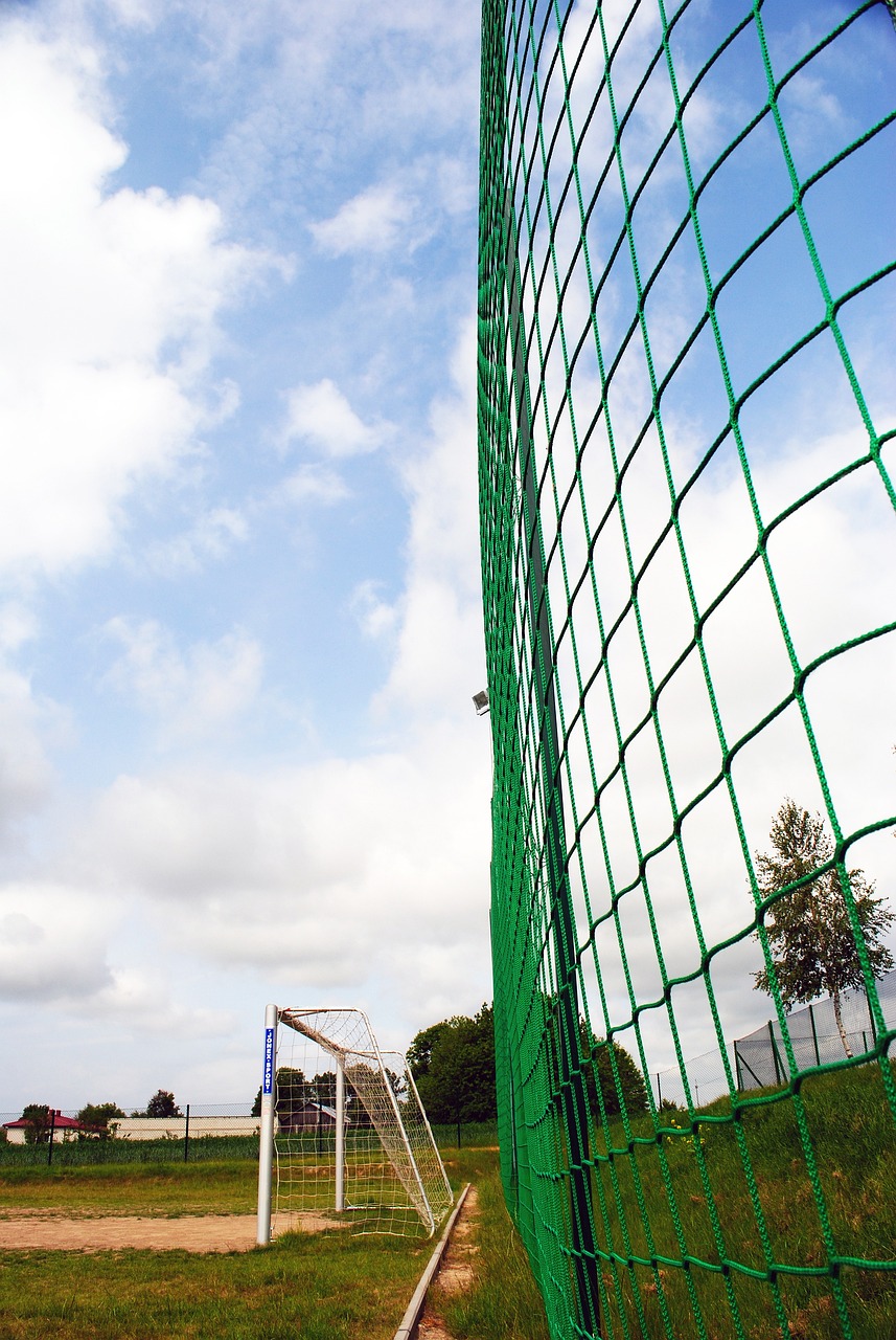 对比与启示 对比与启示