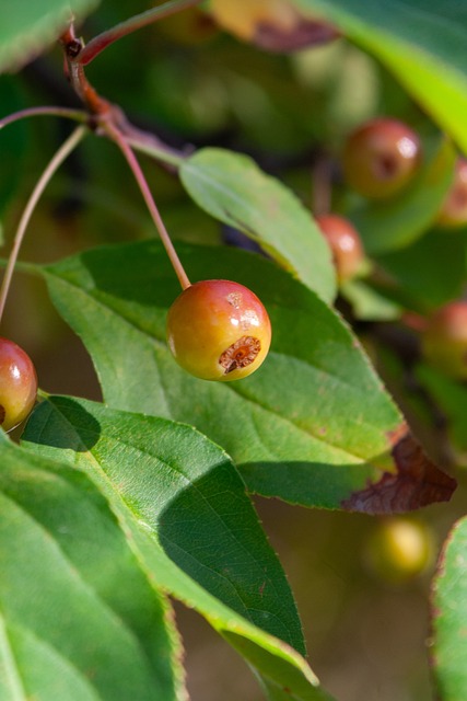 无疑为球队 无疑为球队