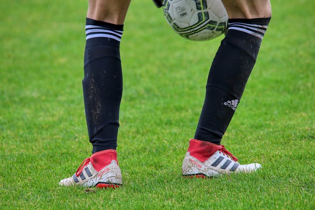 季已过大半 季已过大半