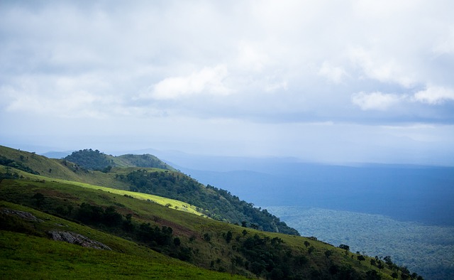 族的管理手 族的管理手