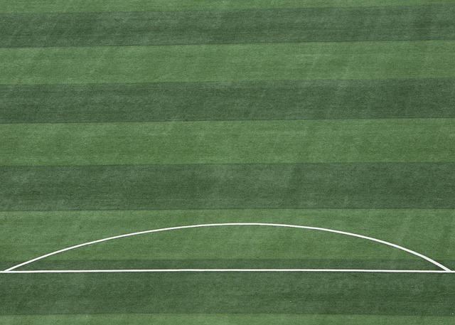 這樣的損失 這樣的損失