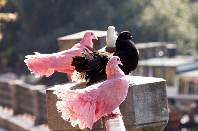 某个关键时 某个关键时